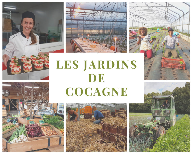 Les Jardins de Cocagne  ThaonlesVosges